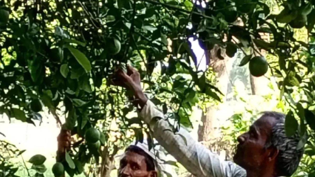 https://www.jagranimages.com/images/newimg/06092025/06_09_2025-bagwani_24037669_15175129.jpg