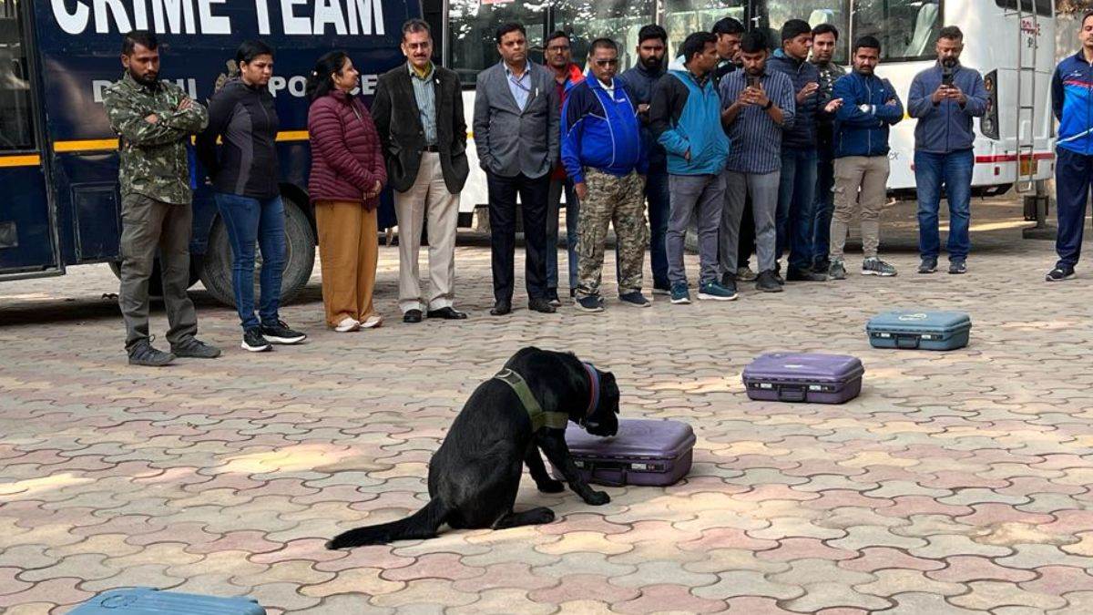 https://www.jagranimages.com/images/newimg/06092025/06_09_2025-dog_squad_24038043.jpg