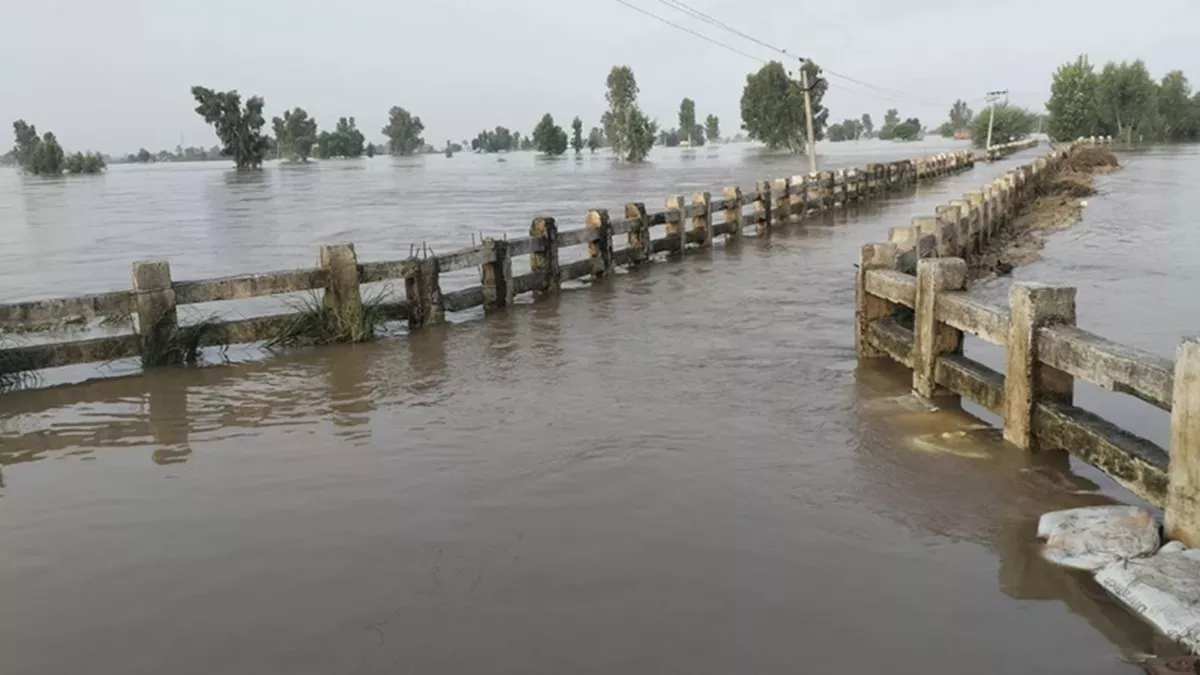 विचार : बाढ़ का विनाशकारी रूप, ठोस कदम उठाने जरूरी