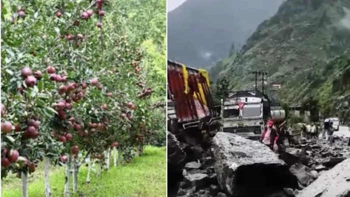 हिमाचल प्रदेश में सड़कें बंद होने से सेब खराब हो रहा है। किन्नौर में बंद हाईवे।