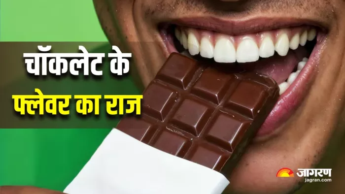 क्या आपको भी पसंद है चॉकलेट? जानें इसके अलग-अलग स्वाद का राज (Image Source: Freepik)