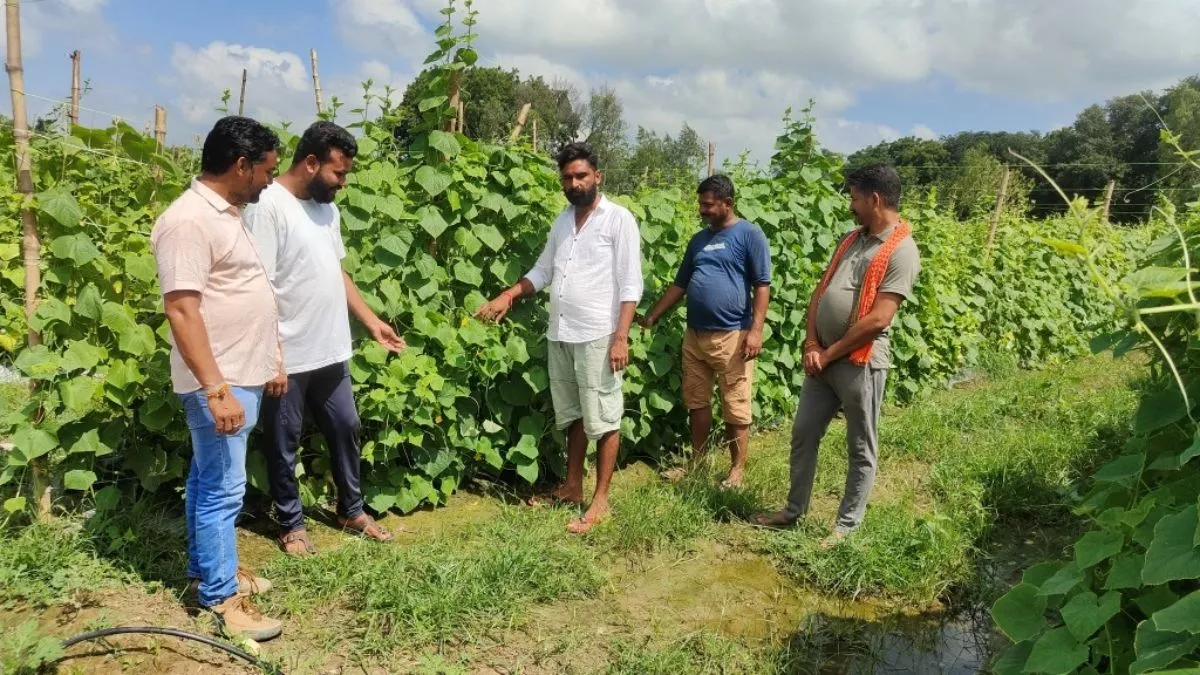 नौकरी छोड़िए! सिर्फ 60 दिन में ये फसल देगी आपको मोटा मुनाफा, जानिए यूपी के इस किसान की Success Story