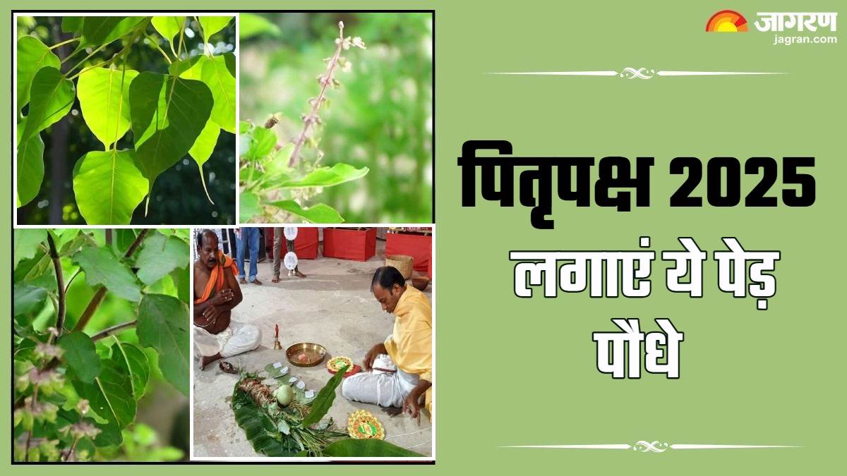 https://www.jagranimages.com/images/newimg/06092025/06_09_2025-pitru_paksha_2025_3_24037459.jpg