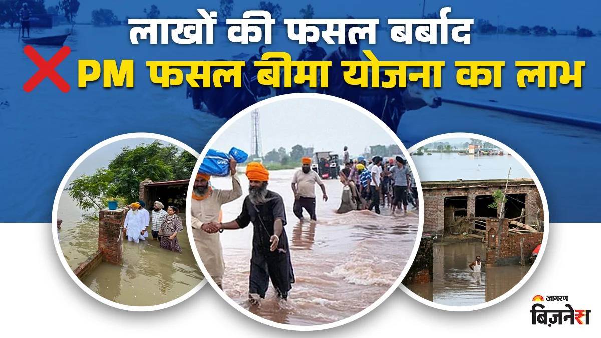 https://www.jagranimages.com/images/newimg/06092025/06_09_2025-pm_bima_fasal_yojana_24037564.jpg