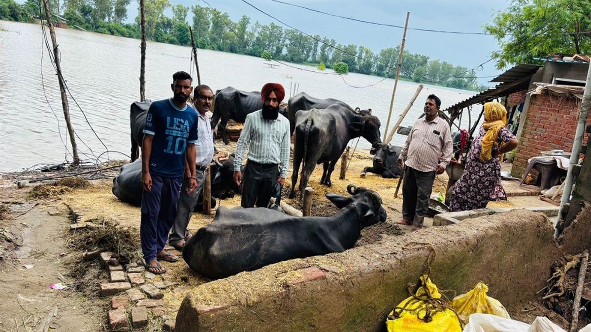https://www.jagranimages.com/images/newimg/06092025/06_09_2025-punjab_43_24038153.jpg