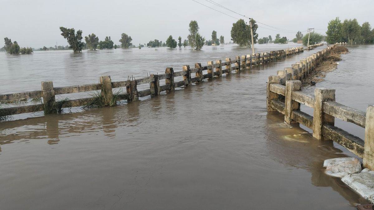 https://www.jagranimages.com/images/newimg/06092025/06_09_2025-punjab_flood_22_24038135.jpg