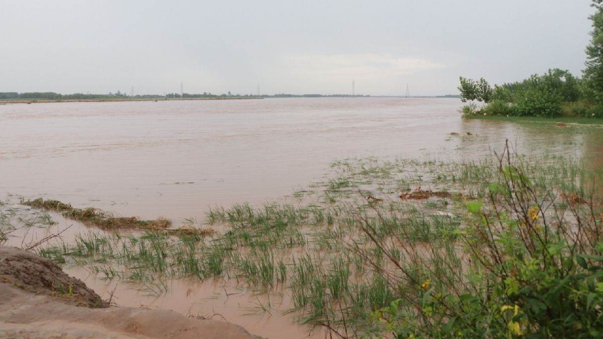 https://www.jagranimages.com/images/newimg/06092025/06_09_2025-punjab_flood_23_24038150.jpg