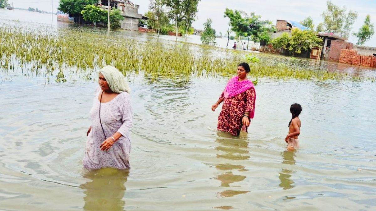 https://www.jagranimages.com/images/newimg/06092025/06_09_2025-punjab_flood_24_24038172.jpg
