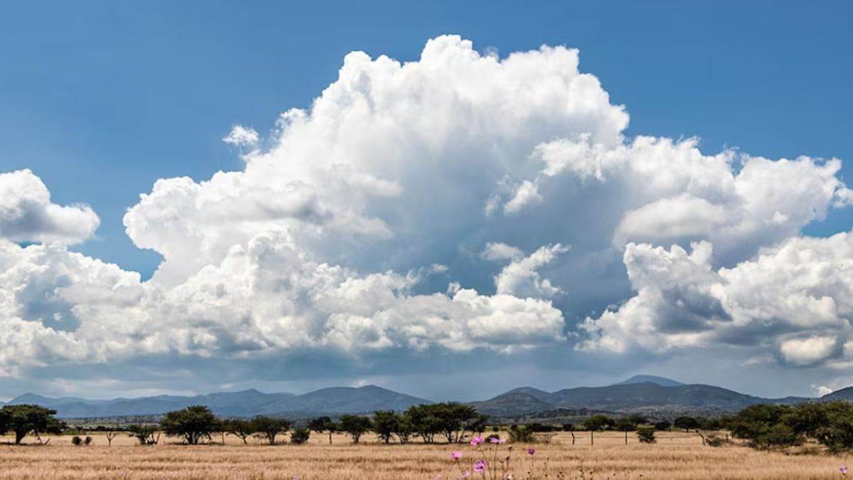 https://www.jagranimages.com/images/newimg/06092025/06_09_2025-punjab_weather_9_24037334.jpg