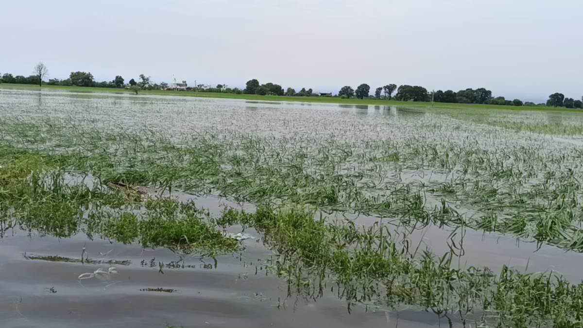 https://www.jagranimages.com/images/newimg/06092025/06_09_2025-rain_news_24037277.jpg