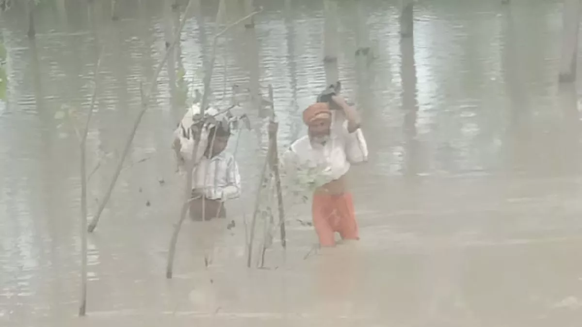 https://www.jagranimages.com/images/newimg/06092025/06_09_2025-rampur_news_24037254.jpg
