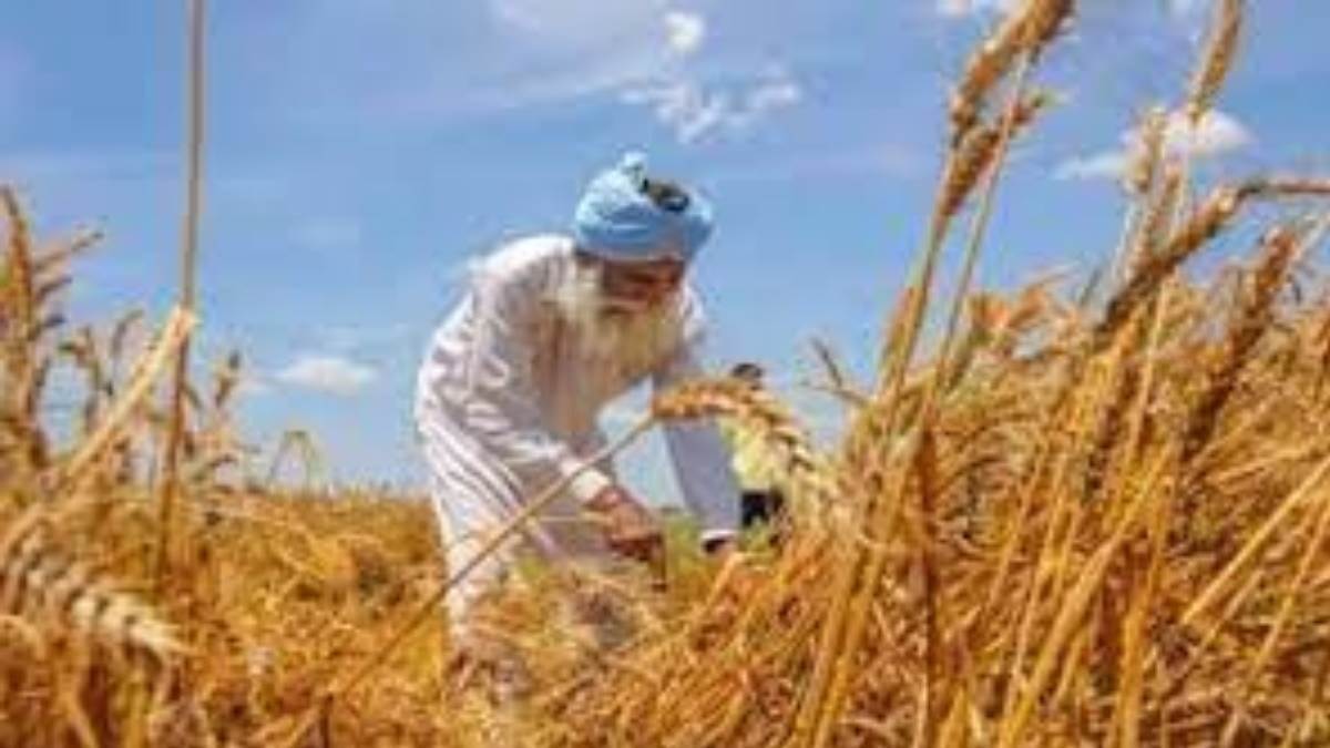 https://www.jagranimages.com/images/newimg/06092025/06_09_2025-up_rabi_season_farmer_24038020.jpg