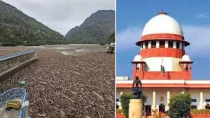 रावी नदी में बहकर आई लकड़ियों पर सुप्रीम कोर्ट ने सख्त टिप्पणी की है।