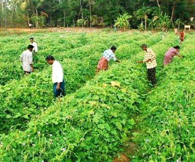 farmers of up will become self reliant by natural farming production will increase without the use of fertilizers jagran special