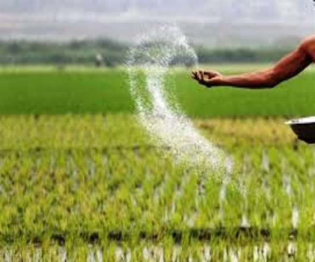 state marketing manager iffco has fixed the price of npk fertilizer price increased by rs 100 vefore sowing of rabi crops