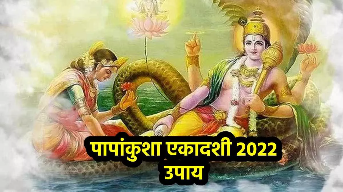Papankusha Ekadashi 2022 Upay:  पापांकुशा एकादशी पर करें ये खास उपाय, घर में कभी नहीं होगी धन-दौलत की कमी