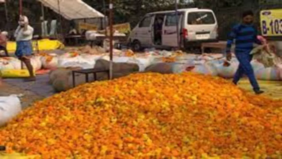 Haryana News: नीदरलैंड्स की तकनीक पर गुरुग्राम में बनाई जाएगी फूल की निर्यात मंडी