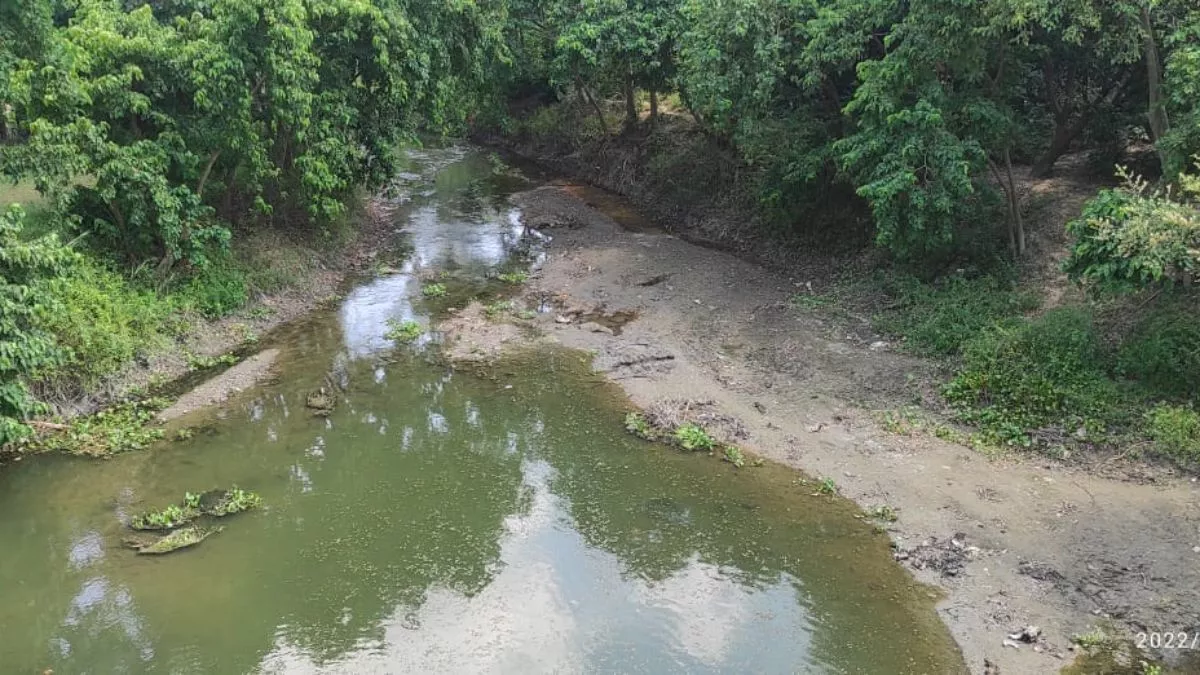Sheohar News: मनुषमारा नदी का पानी सूख जाने से 40 हजार हेक्टेयर की सिंचाई प्रभावित