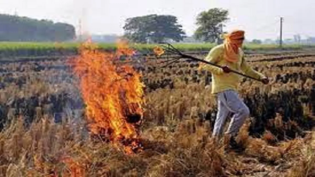 हरियाणा में धान की पराली जलाने से रोकने के लिए ग्राम स्तर पर कमेटी गठित, सिरसा के 30 गांव रेड जोन में शामिल