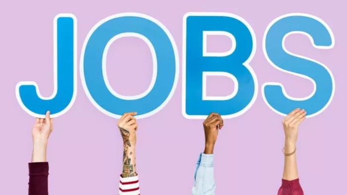 AIIMS Bhopal Recruitment: एम्स भोपाल में नॉन फैकल्टी पदों पर भर्ती के लिए आज से करें अप्लाई । (image-freepik)