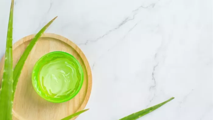 Hair Care Tips: इस तरह बालों में लगाएं एलोवेरा जेल