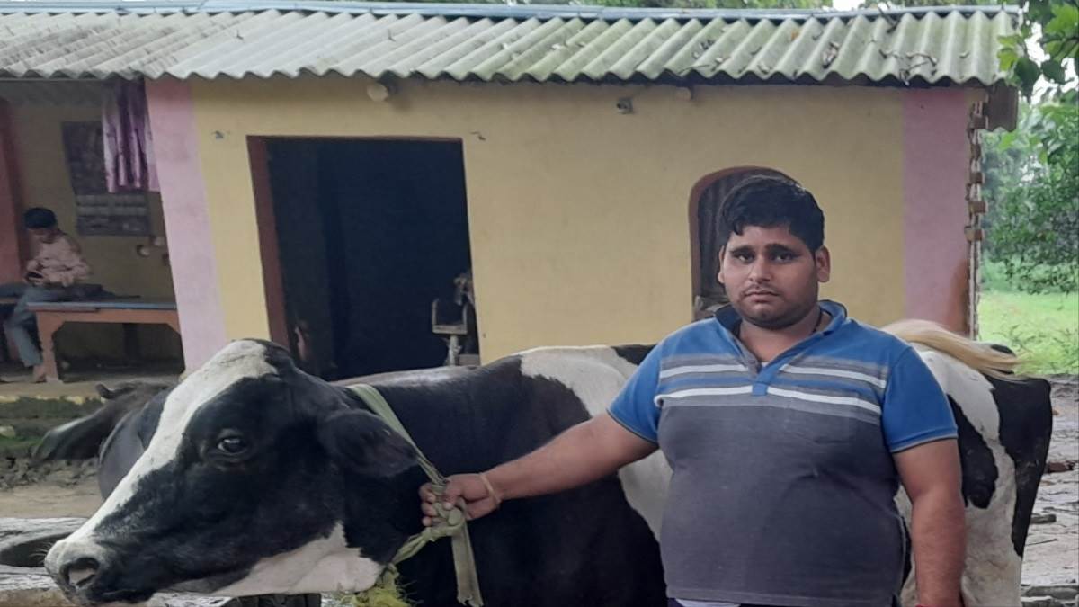 https://www.jagranimages.com/images/newimg/06102023/06_10_2023-cow_23548932.jpg