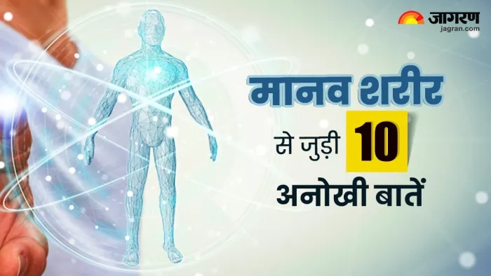 Human Body Facts: मानव शरीर की 10 अद्भुत बातें