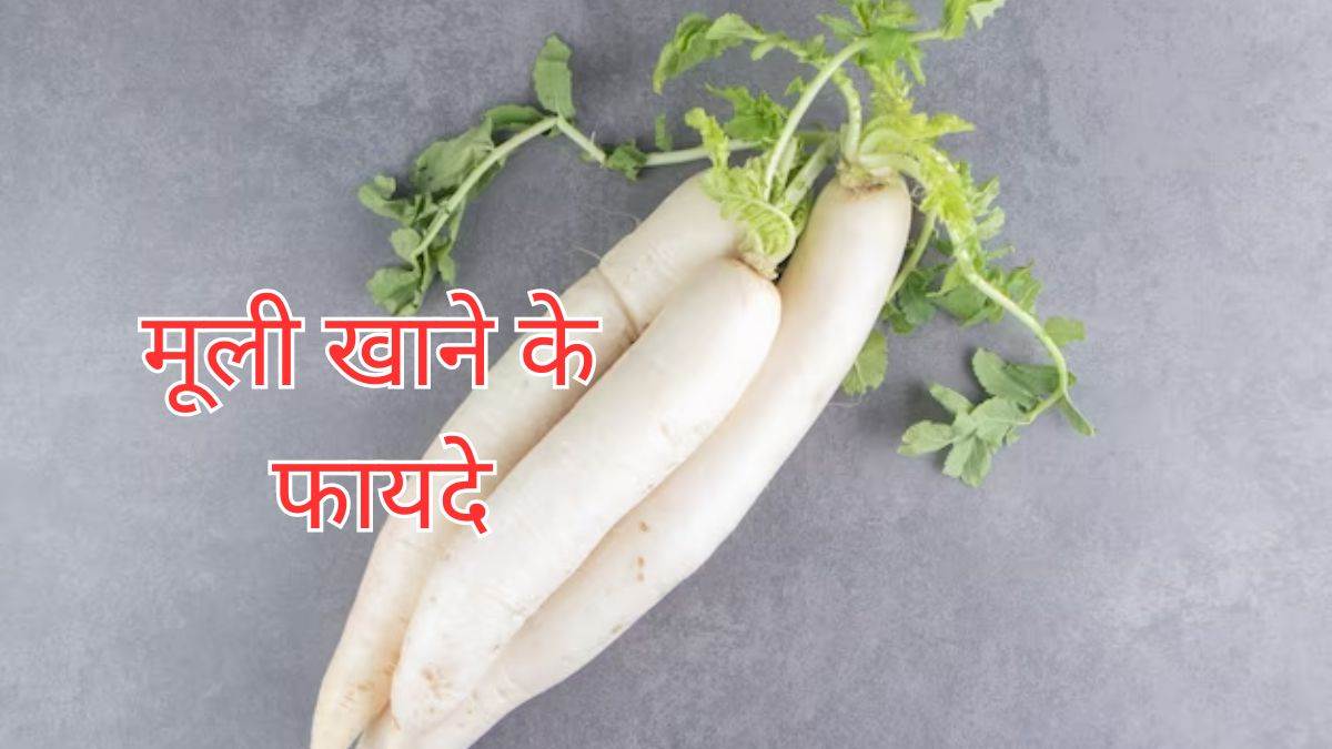 Radish Health Benefits हाई बीपी कंट्रोल करने से लेकर कब्ज से राहत