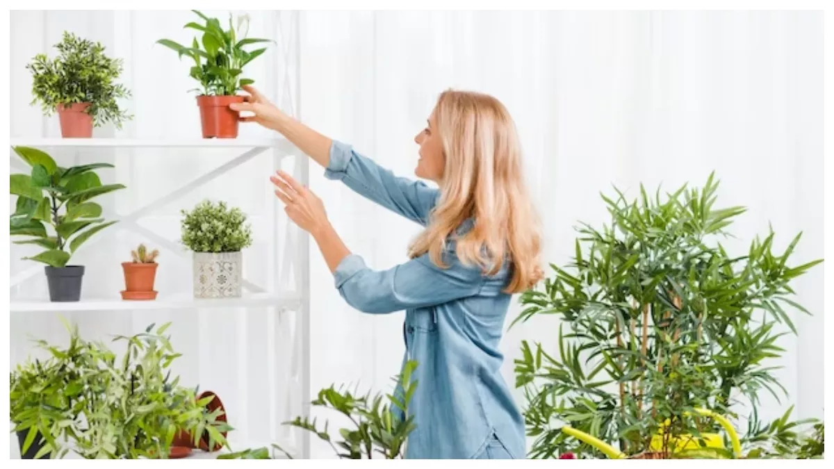Vertical Gardening: इस तरीके से उगा सकते हैं कम जगह में भी कई पौधे, जाने क्या हैं इसके फायदे