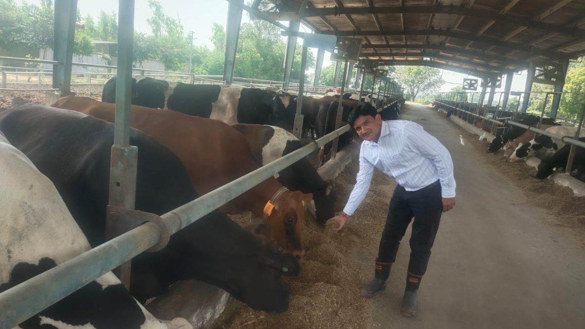 ncr engineer deepak raj is earning crores rupees through modern technology in dairy farming