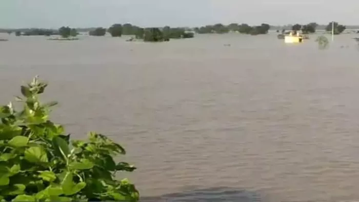 सबसे अधिक रोहतास जिले में गई जान।