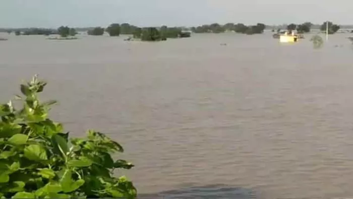 वैशाली, समस्तीपुर, पटना, बेगूसराय, खगड़िया एवं भागलपुर जिले में फसल को हुई है क्षति।