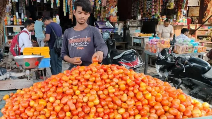 टमाटर के रेट बढ़े हुए चल रहे हैं।