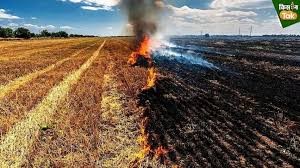 strict action against stubble burning in eta fines imposed