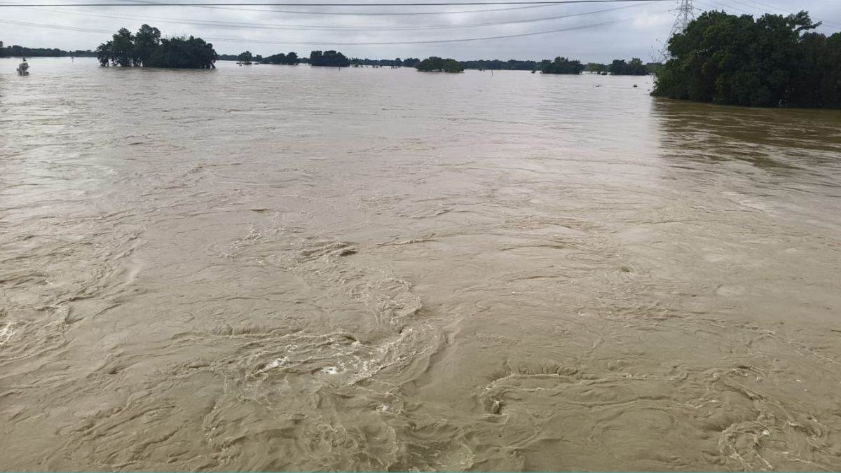 why is flood water spreading rapidly in sheohar of bihar