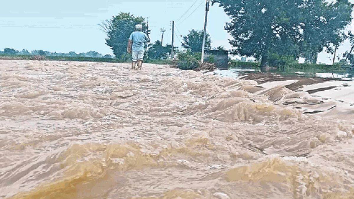 all three dams are full water is being released into the sutlej beas and ravi flood control gates have been opened up to two feet