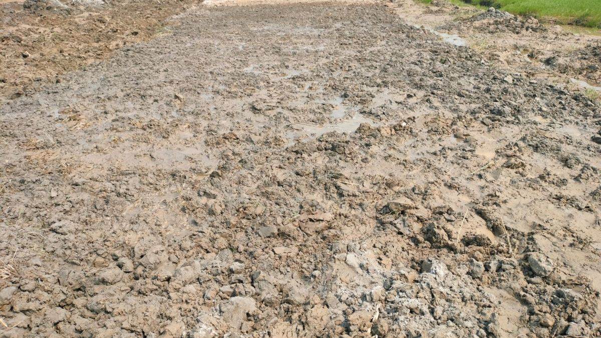 warned flood water stagnates and rotting crops in hapur forest