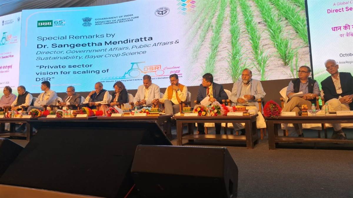 dsr farming scientists highlight benefits of direct seeded rice at varanasi conclave