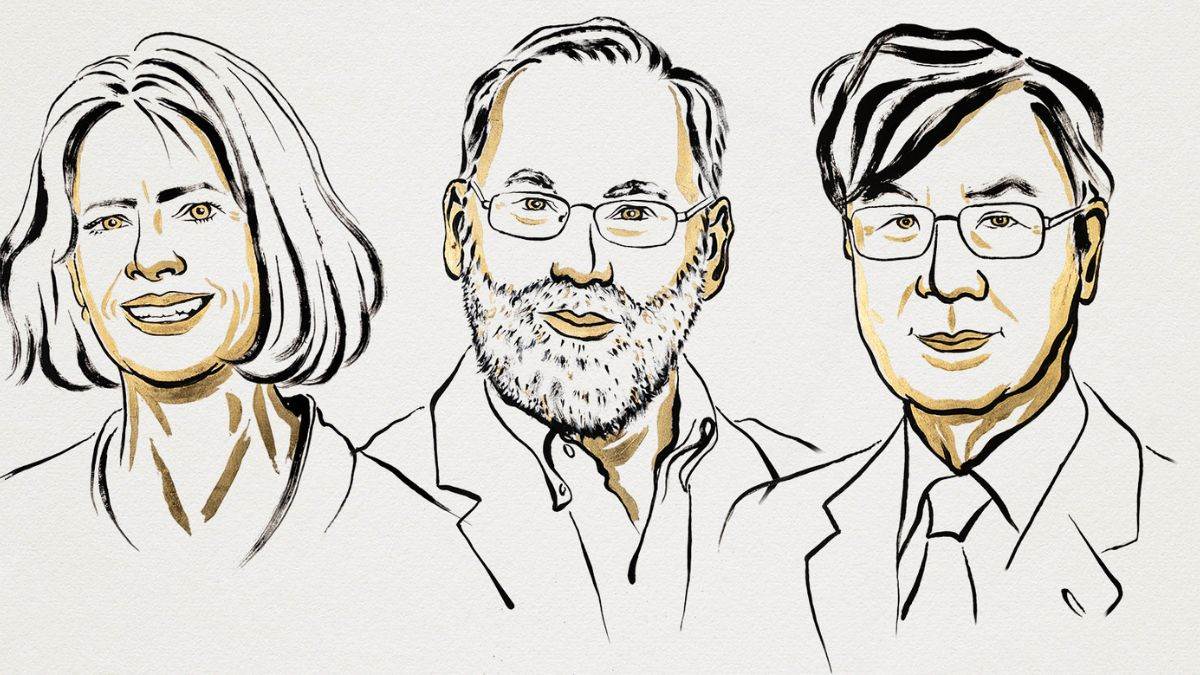 nobel prize in medicine 2025 awarded to mary e brunkow fred ramsdell shimon sakaguchi for immunology research