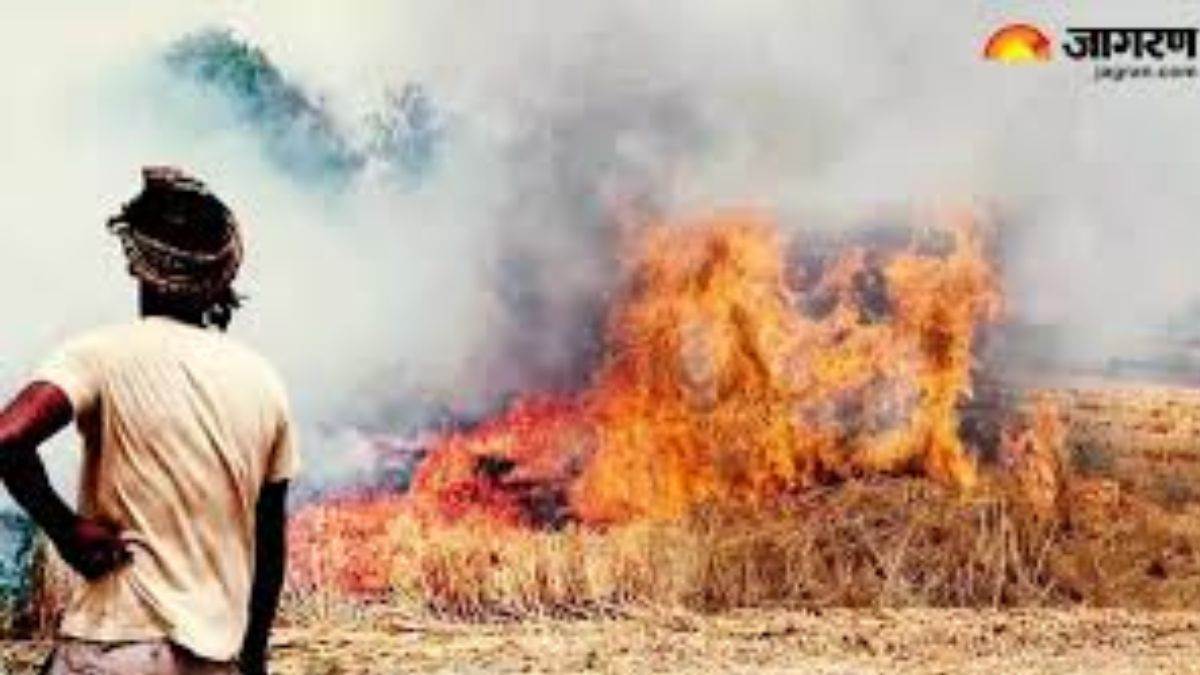mainpuri news farmers face fine for burning parali stubble fine on farmers