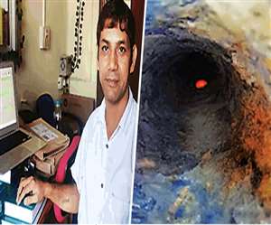 एक से दो वर्ष के भीतर ही इससे मिट्टी की पोषक तत्वों में वृद्धि होती है।