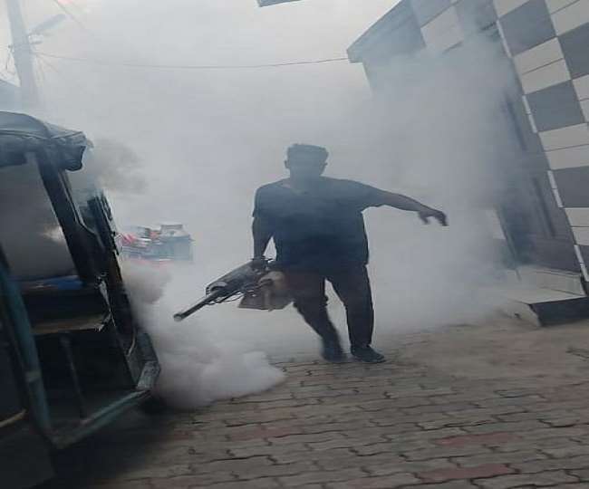 डेंगू के 242, मलेरिया के दो और चिकनगुनिया के 22 मरीज ऐसे सामने आए हैं।