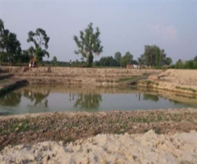 खेत तालाब योजना के तहत किसानों को सरकारी सहायता भी मिलेगी।