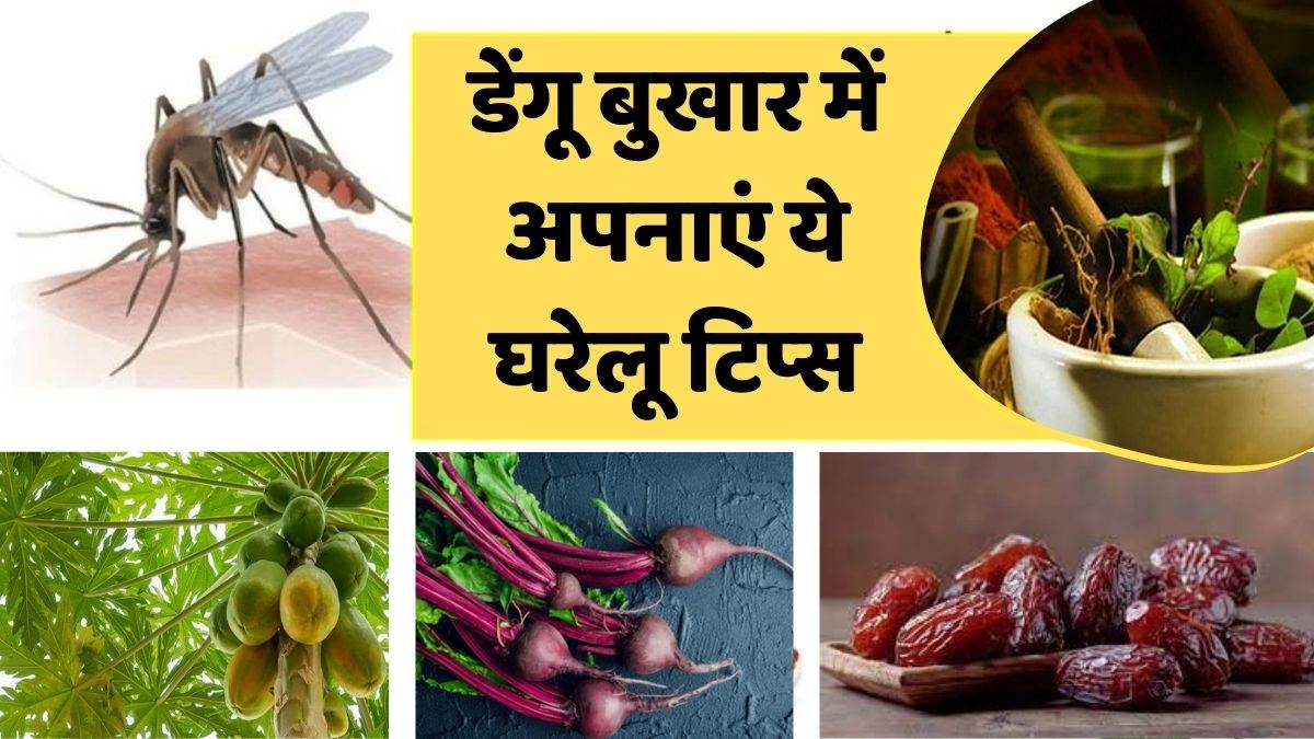 https://www.jagranimages.com/images/newimg/06112022/06_11_2022-home_remedies_for_dengue_fever_23185572_92755733.jpg