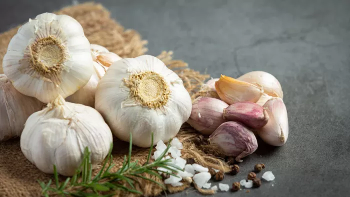 Garlic Benefits: सर्दियों में रोजाना खाएं लहसुन, रहेंगे बीमारियों से दूर