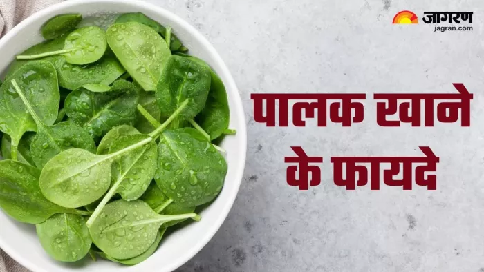 Spinach Health Benefits: सेहत के लिए क्यों फायदेमंद है पालक