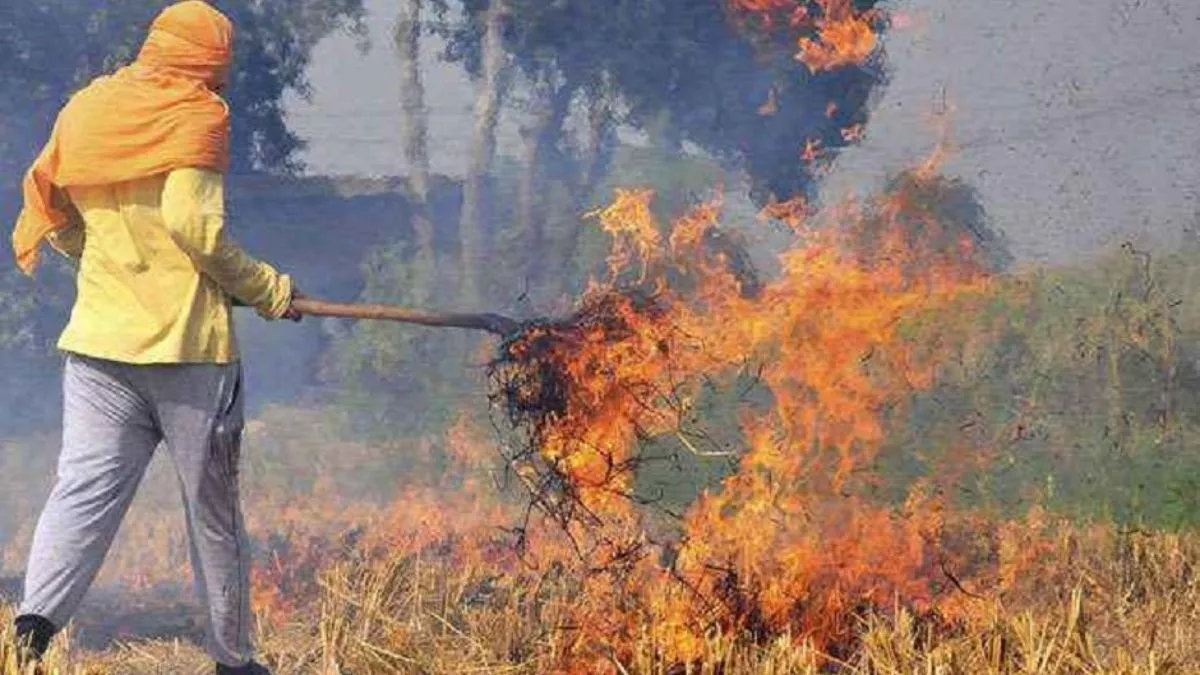 Nawan Shahar News: धान की पराली में आग लगाने वालों पर होगी कार्रवाई, बंगा के SDM ने अधिकारियों संग की बैठक