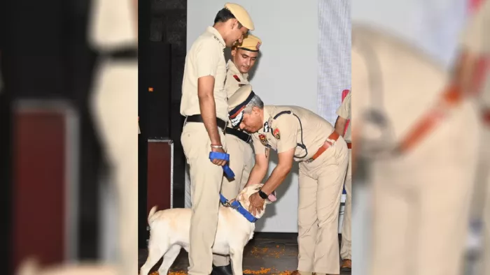 हरियाणा पुलिस के डॉग रॉनी को सहलाते पुलिस महानिदेशक शत्रुजीत कपूर