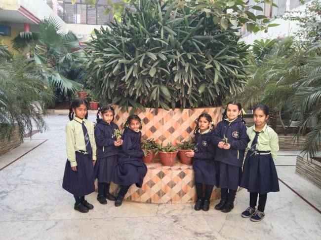 awareness programme organised at rajendra public school