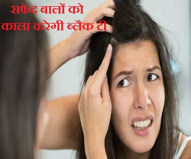 नेचुर तरीके से बालों को काला करना चाहती हैं तो ब्लैक टी का इस्तेमाल करें, जानिए तरीका - black tea can naturally darken your grey hair know the way नेचुर तरीके से बालों को काला करना चाहती हैं तो ब्लैक टी का इस्तेमाल करें, जानिए तरीका - black tea can naturally darken your grey hair know the way
